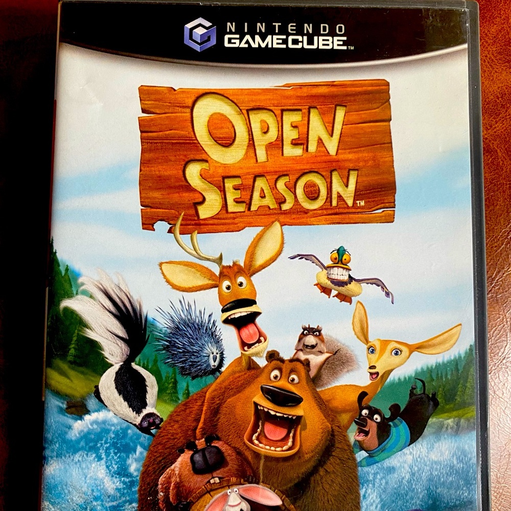Nintendo GameCube video game